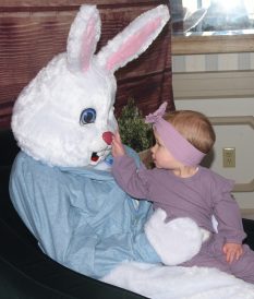 article image - 1. Bunny nose_6898